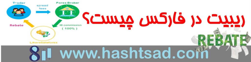 ریبیت