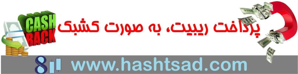 ریبیت چیست