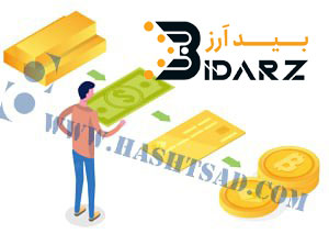 The_type_of_money_that_can_be_deposited_and_withdrawn_in_Bidarz-_exchange
